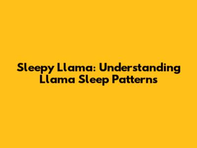 Sleepy Llama: Understanding Llama Sleep Patterns
