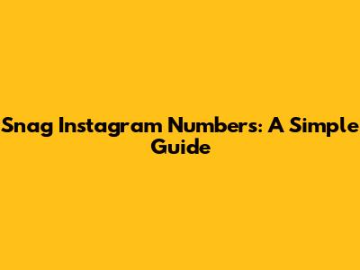 Snag Instagram Numbers: A Simple Guide