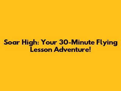 Soar High: Your 30-Minute Flying Lesson Adventure!