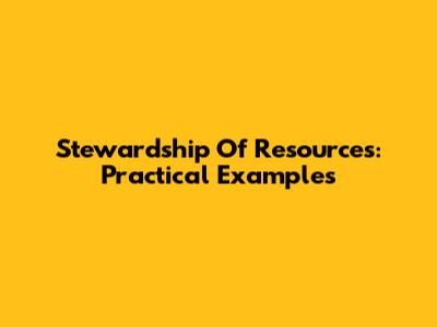 Stewardship Of Resources: Practical Examples