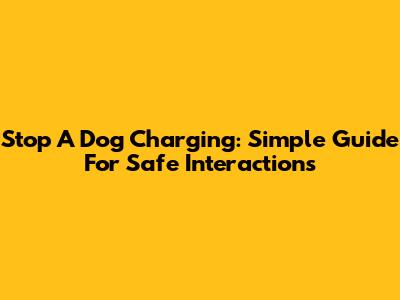 Stop A Dog Charging: Simple Guide For Safe Interactions