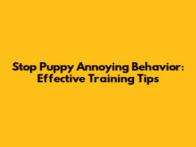 Stop Puppy Annoying Behavior: Effective Training Tips