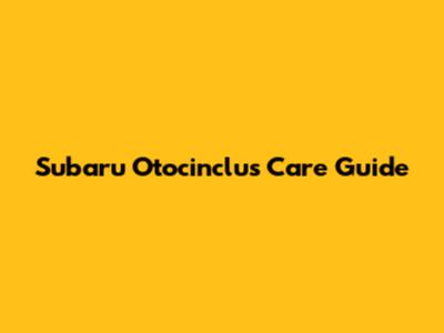 Subaru Otocinclus Care Guide