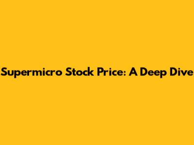 Supermicro Stock Price: A Deep Dive
