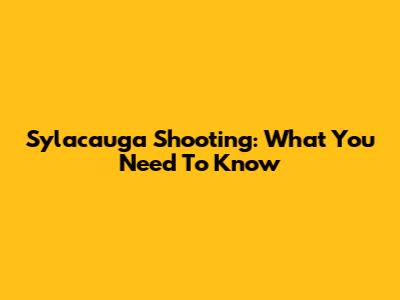 Sylacauga Shooting: What You Need To Know