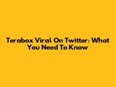 Terabox Viral On Twitter: What You Need To Know