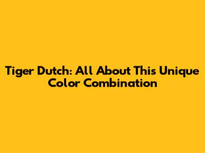 Tiger Dutch: All About This Unique Color Combination