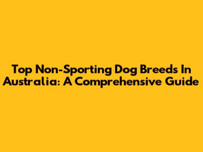 Top Non-Sporting Dog Breeds In Australia: A Comprehensive Guide