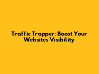 Traffic Trapper: Boost Your Website's Visibility