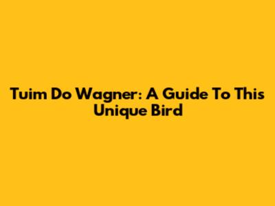 Tuim Do Wagner: A Guide To This Unique Bird