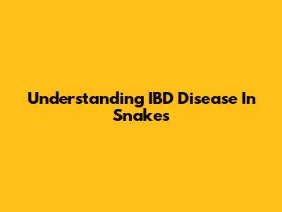 Understanding IBD Disease In Snakes