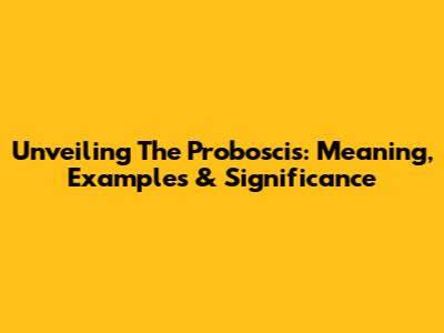 Unveiling The Proboscis: Meaning, Examples & Significance