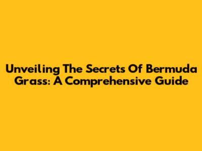 Unveiling The Secrets Of Bermuda Grass: A Comprehensive Guide
