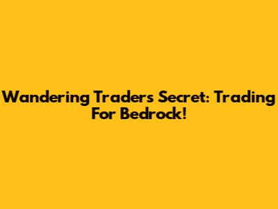 Wandering Trader's Secret: Trading For Bedrock!
