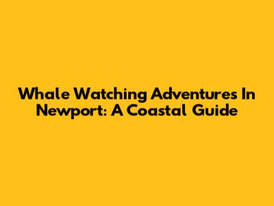 Whale Watching Adventures In Newport: A Coastal Guide