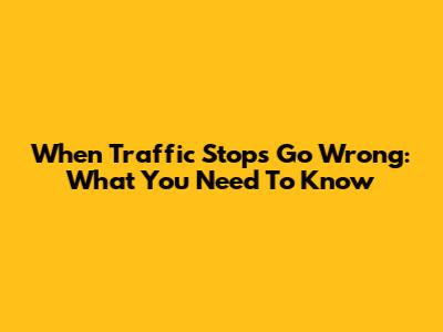 When Traffic Stops Go Wrong: What You Need To Know