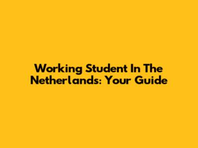 Working Student In The Netherlands: Your Guide