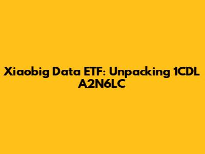Xiaobig Data ETF: Unpacking 1CDL A2N6LC